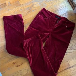 White House Black Market Deep Red, Velour Pants